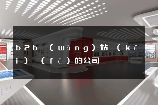 b2b網(wǎng)站開(kāi)發(fā)的公司