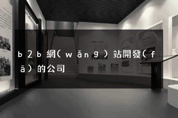 b2b網(wǎng)站開發(fā)的公司