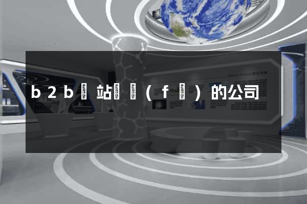 b2b網站開發(fā)的公司