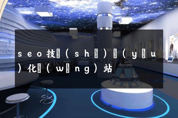 seo技術(shù)優(yōu)化網(wǎng)站
