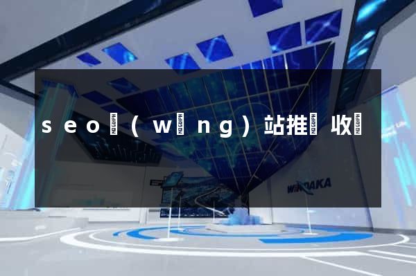 seo網(wǎng)站推廣收費