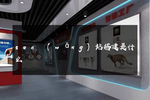 seo網(wǎng)站搭建是什么