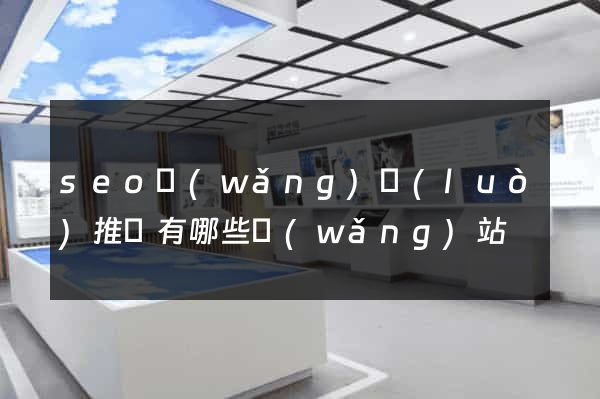 seo網(wǎng)絡(luò)推廣有哪些網(wǎng)站