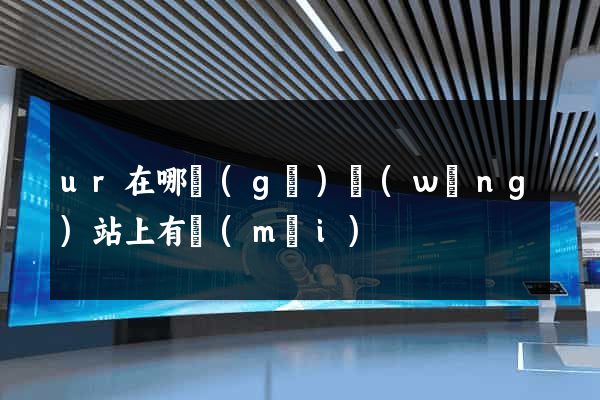 ur在哪個(gè)網(wǎng)站上有賣(mài)