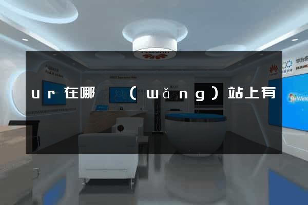 ur在哪個網(wǎng)站上有賣