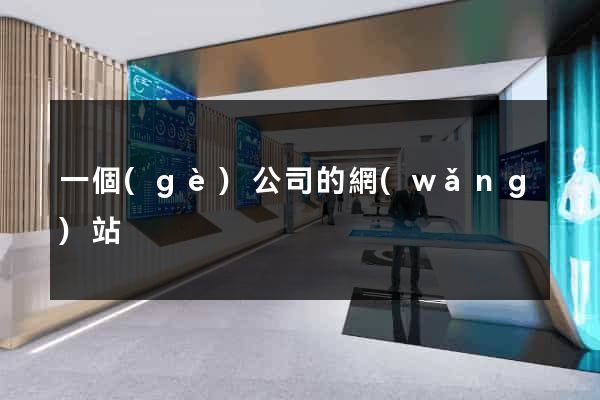 一個(gè)公司的網(wǎng)站