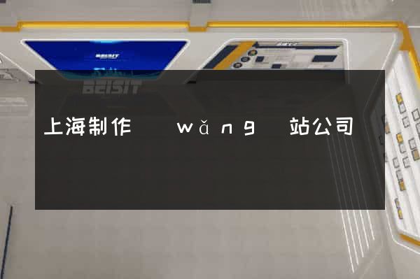 上海制作網(wǎng)站公司