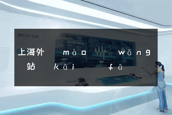 上海外貿(mào)網(wǎng)站開(kāi)發(fā)