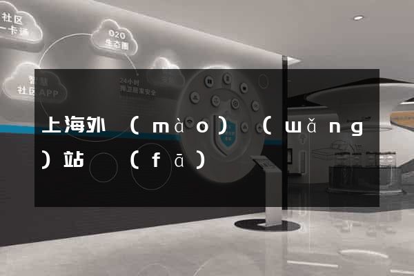 上海外貿(mào)網(wǎng)站開發(fā)