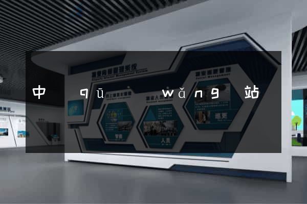 中區(qū)網(wǎng)站營銷