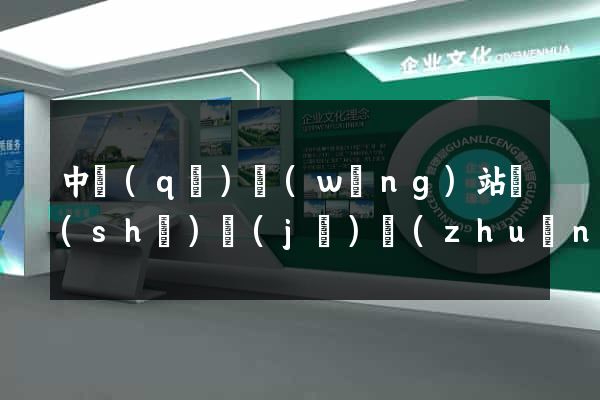 中區(qū)網(wǎng)站設(shè)計(jì)專(zhuān)業(yè)的公司