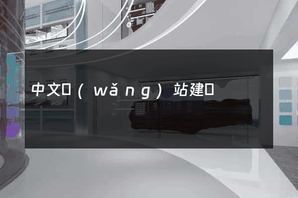 中文網(wǎng)站建設
