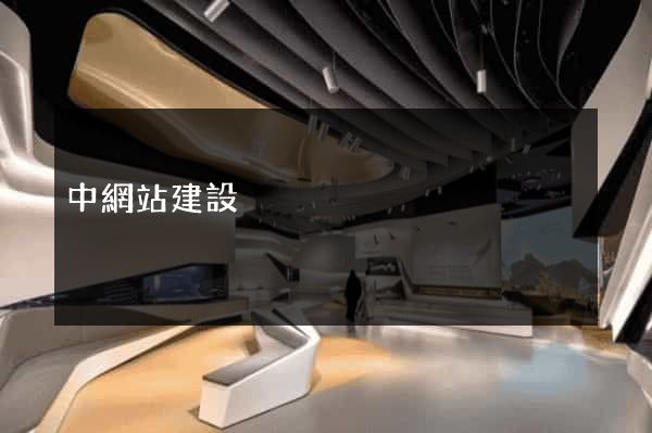 中網站建設