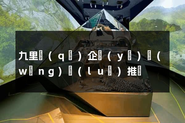 九里區(qū)企業(yè)網(wǎng)絡(luò)推廣