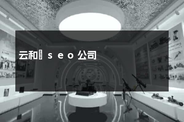 云和縣seo公司