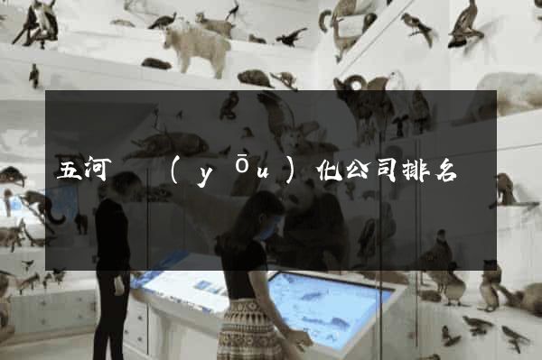 五河縣優(yōu)化公司排名