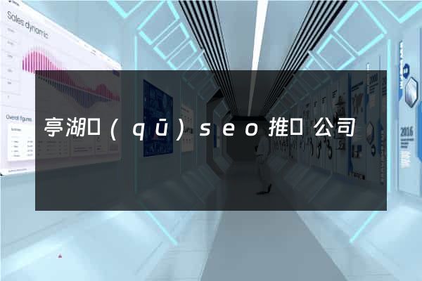 亭湖區(qū)seo推廣公司