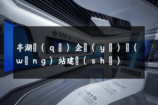 亭湖區(qū)企業(yè)網(wǎng)站建設(shè)