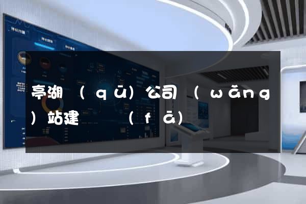亭湖區(qū)公司網(wǎng)站建設開發(fā)
