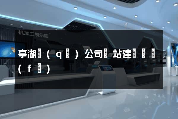 亭湖區(qū)公司網站建設開發(fā)