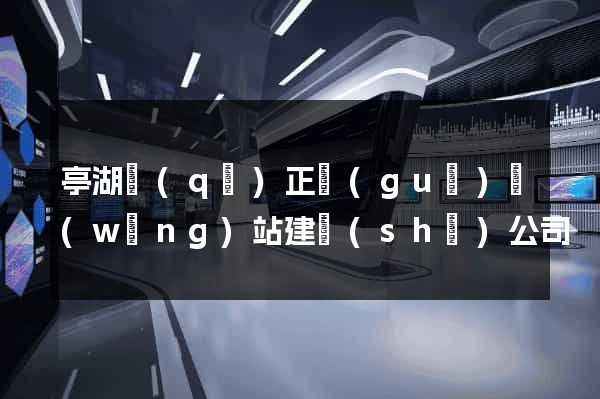 亭湖區(qū)正規(guī)網(wǎng)站建設(shè)公司