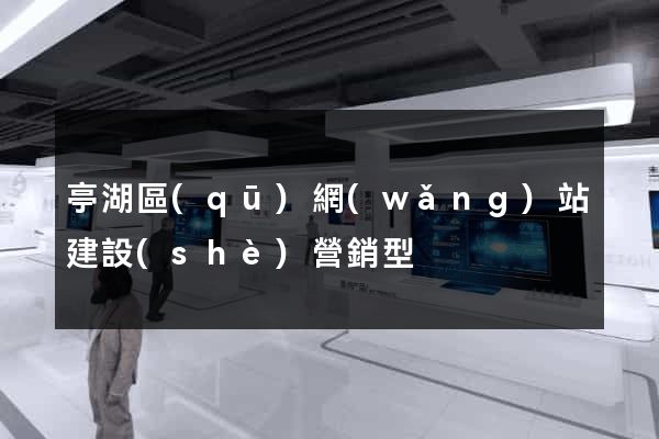亭湖區(qū)網(wǎng)站建設(shè)營銷型
