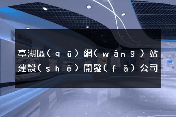 亭湖區(qū)網(wǎng)站建設(shè)開發(fā)公司