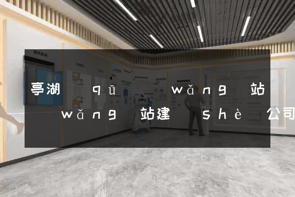 亭湖區(qū)網(wǎng)站網(wǎng)站建設(shè)公司