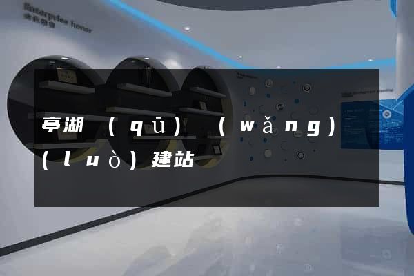 亭湖區(qū)網(wǎng)絡(luò)建站