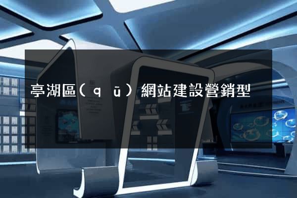亭湖區(qū)網站建設營銷型
