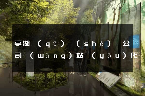 亭湖區(qū)設(shè)計公司網(wǎng)站優(yōu)化
