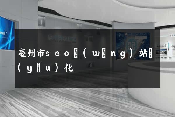 亳州市seo網(wǎng)站優(yōu)化