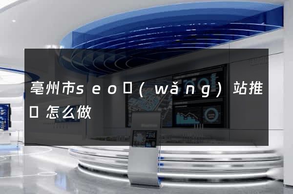亳州市seo網(wǎng)站推廣怎么做