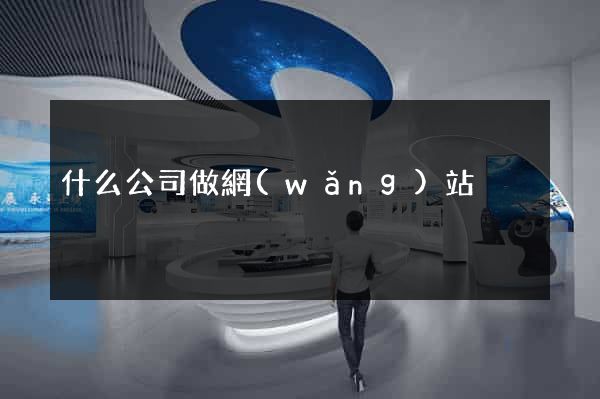 什么公司做網(wǎng)站