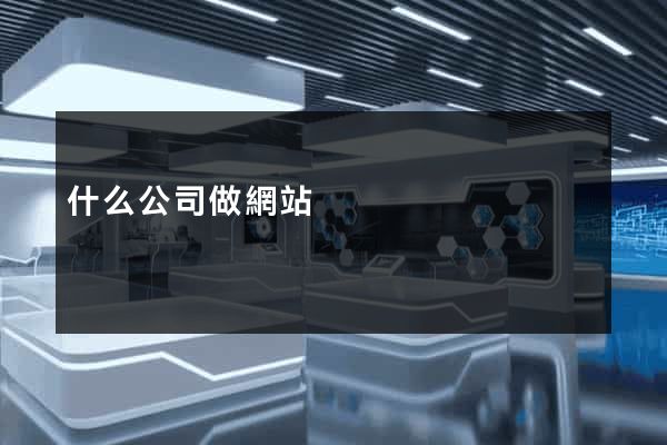 什么公司做網站