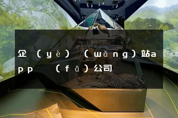 企業(yè)網(wǎng)站app開發(fā)公司