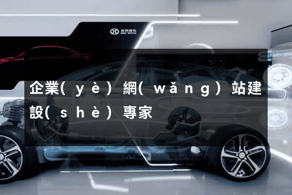 企業(yè)網(wǎng)站建設(shè)專家
