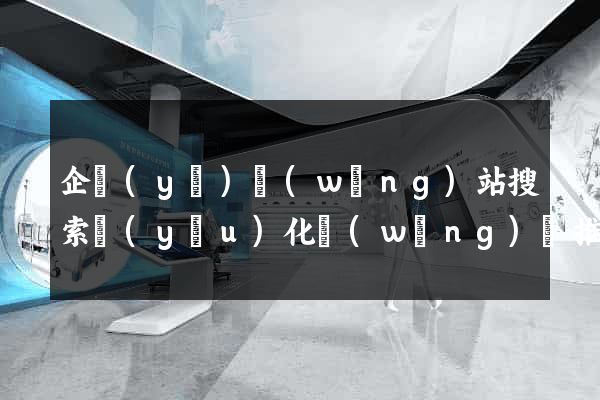 企業(yè)網(wǎng)站搜索優(yōu)化網(wǎng)絡推廣