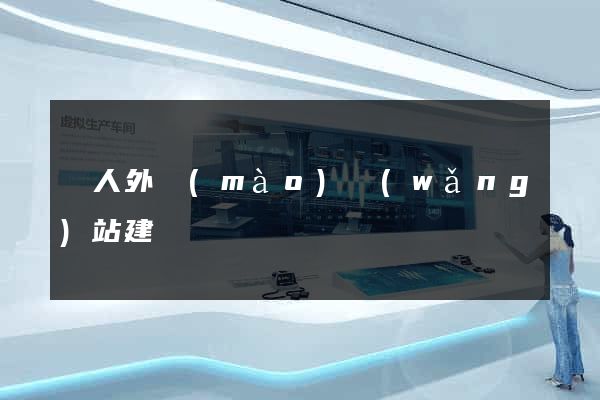 個人外貿(mào)網(wǎng)站建設
