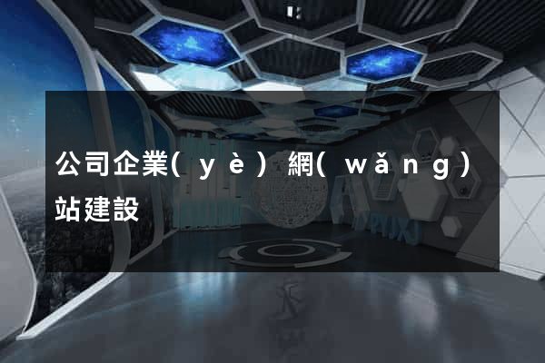 公司企業(yè)網(wǎng)站建設