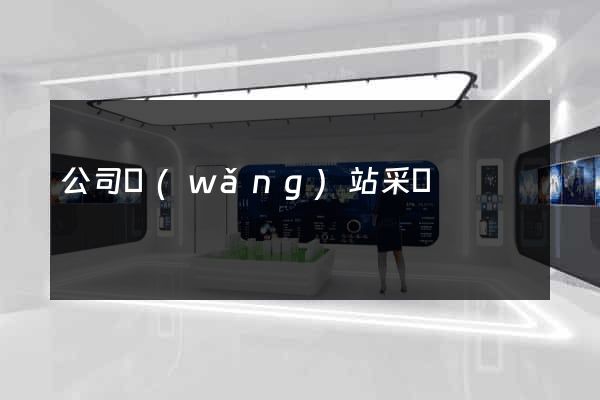 公司網(wǎng)站采購