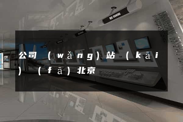 公司網(wǎng)站開(kāi)發(fā)北京