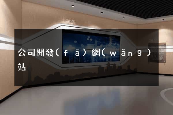 公司開發(fā)網(wǎng)站