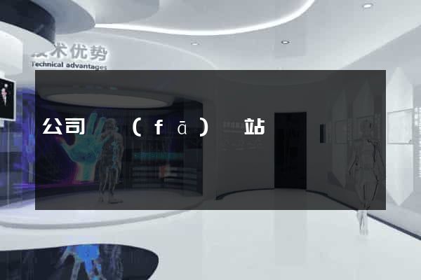 公司開發(fā)網站