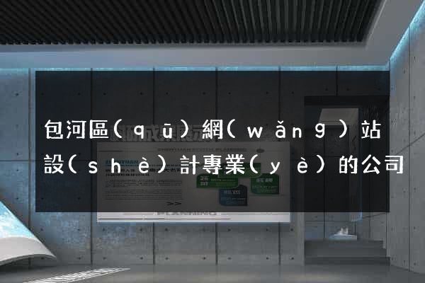 包河區(qū)網(wǎng)站設(shè)計專業(yè)的公司