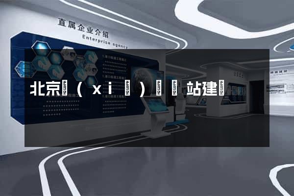 北京協(xié)會網站建設