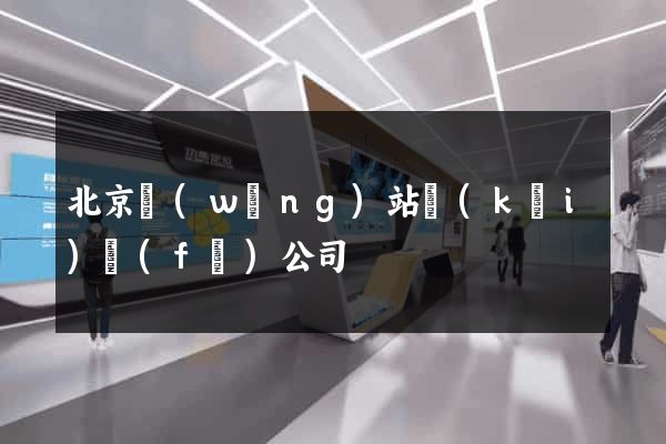 北京網(wǎng)站開(kāi)發(fā)公司