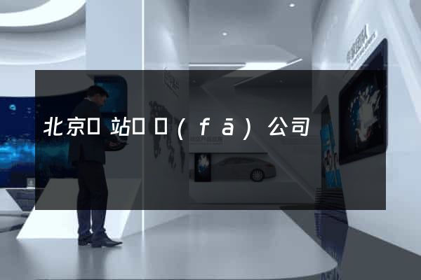 北京網站開發(fā)公司