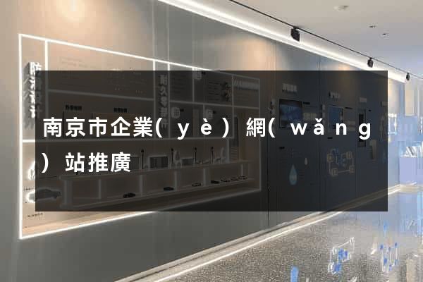 南京市企業(yè)網(wǎng)站推廣