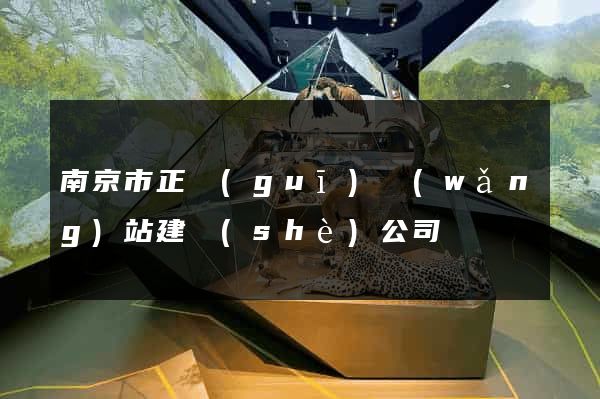 南京市正規(guī)網(wǎng)站建設(shè)公司